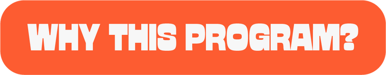 Why this program?